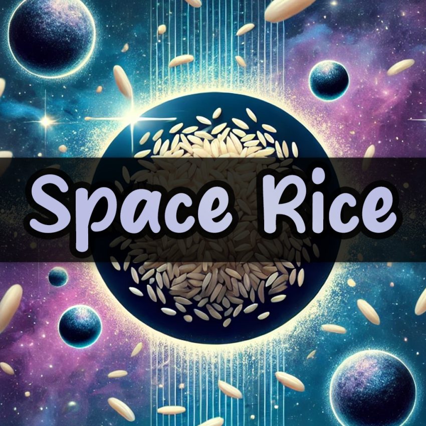 Space Rice